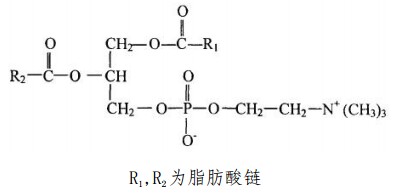 中藥標準品