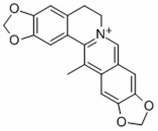 中藥標(biāo)準(zhǔn)品