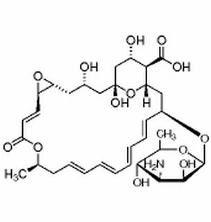 抗體素類