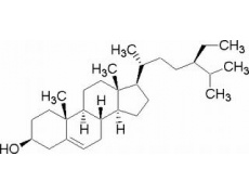 碳水化合物類