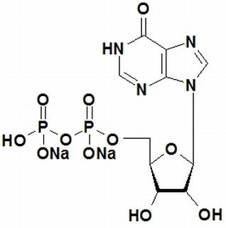 植物激素及核酸類