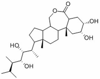 植物激素及核酸類