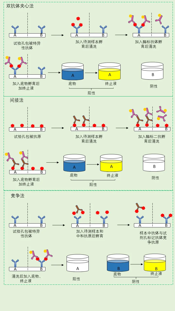 elisa檢測步驟