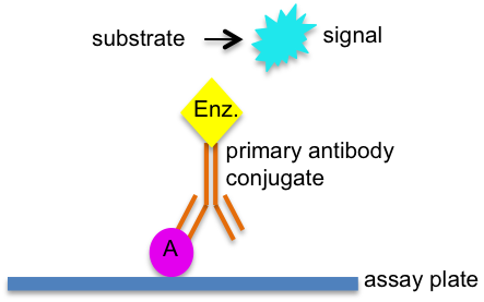 間接ELISA